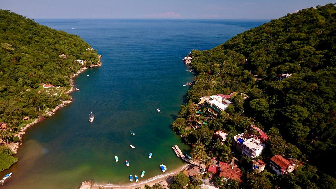 Villa Armonia Luxury Boutique Hotel Puerto Vallarta Exterior photo