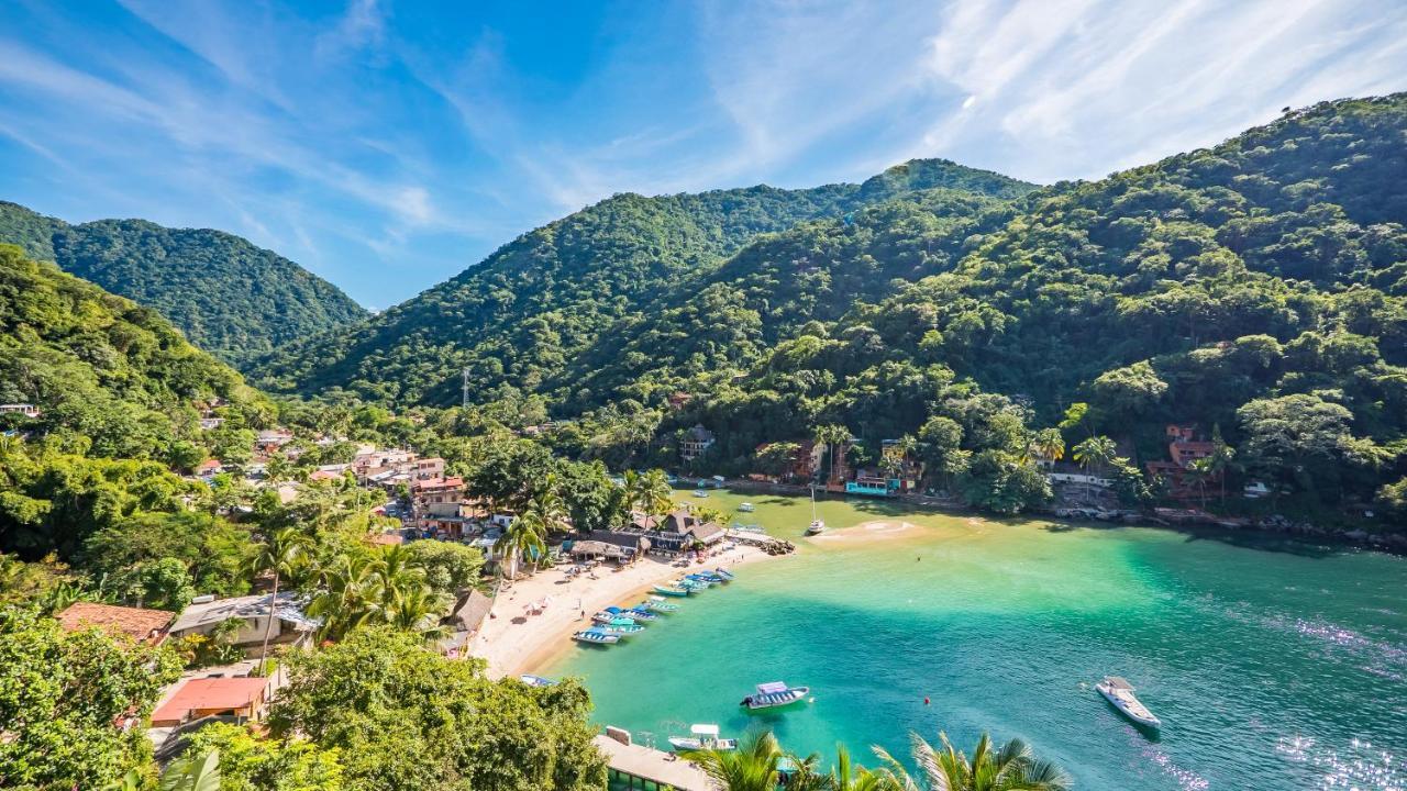 Villa Armonia Luxury Boutique Hotel Puerto Vallarta Exterior photo